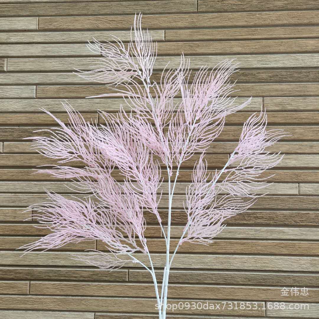 粉色凤尾草