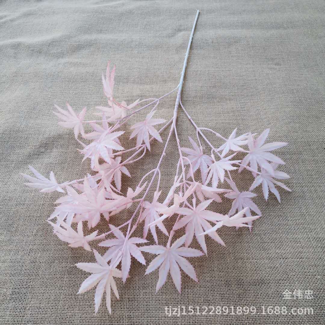 粉色5叉枫叶